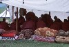 221- tibetaanse tent.jpg